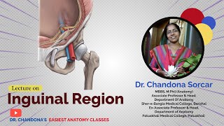 Lecture On Inguinal Region [upl. by Annahsal]