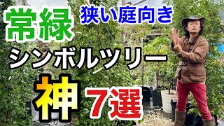 【意外と知らない】コンパクトな庭におすすめな常緑シンボルツリー 7選 【カーメン君】【園芸】【ガーデニング】【初心者】 [upl. by Karel]