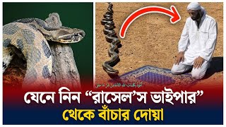 রাসেল ভাইপার থেকে বাঁচার দোয়া  Russells Viper  snake  Time News  BDNEWS  TOP NEWS Bangladesh [upl. by Enirolf78]