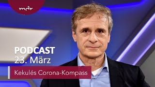 345 Lösten Marderhunde Corona aus  Podcast Kekulés CoronaKompass  MDR [upl. by Hilaire]