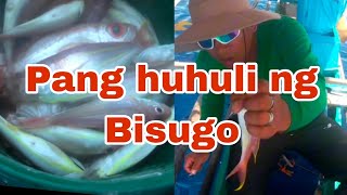 Isdang Bisugo  Pang huhuli fishing fishing fishingvideo viralvideo fish [upl. by Roselyn]