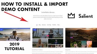 How to Install quotSalientquot theme amp Import Demo 2019 BONUS Tips amp Solutions [upl. by Anilok]