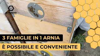 3 Famiglie in 1 Singola Arnia Scopri come in Questo Video [upl. by Niabi243]