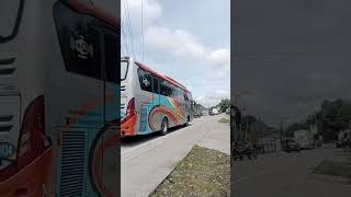 Rosin 3134 suosss rosaliaindah trending viralvideo busmania shorts [upl. by Notanhoj]