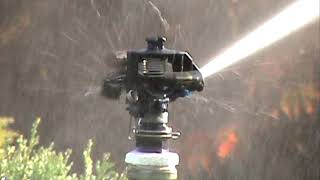 Rain Bird 2045PJ Impact Sprinkler [upl. by Acinonrev391]