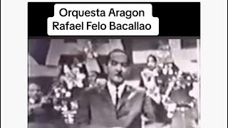 Orquesta Aragon y el gran Rafael Felo Bacallao [upl. by Obla463]