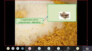 Farmacognosia  Compostos terpênicos Saponinas e produtos Resinosos [upl. by Brawley656]