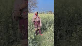 baharo Mera Jeevan samarohmalikkashifshort shortvideo shorts [upl. by Dickson]