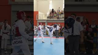 I open internacional Finestrat 2024 taekwondoespaña taekwondo tkd [upl. by Jodi]