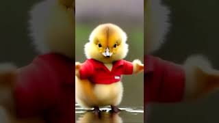 Funniest Animal Moments 2024 Cant Stop Laughing 😂🐕😸 [upl. by Odareg603]