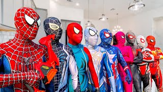 What If Many SPIDERMAN in 1 HOUSE  SPIDERMANs Story New Season 3  All Action Funny [upl. by Araiek868]