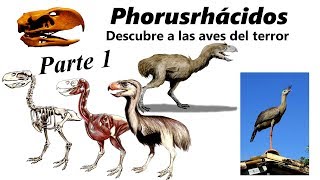 Phorusrhácidos Descubre a las aves del terror Parte 1 [upl. by Atinhoj]