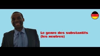 Cours dallemand de A1 B2 Le genre des substantifs les masculins [upl. by Latoye]