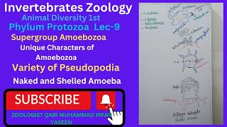 invertebrates zoologyphylumprotozoaLec9supergroupamoebozoavarieties ofpseudopodiaviralget [upl. by Zetnas298]