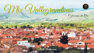 Enganchados Vallegrandinos  Mix Vallegrandinos✔ 10 [upl. by Tien]