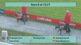 Crayford Greyhounds Races on 29th March 2024 [upl. by Suhail]