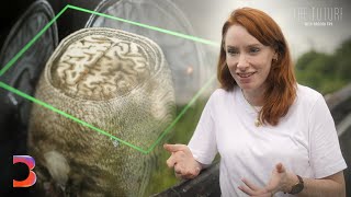 What If Pain Could Be Made Optional  The Future With Hannah Fry [upl. by Bartholomeus20]