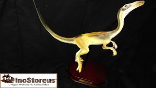 Dinostoreus Compsognathus Statue Review [upl. by Mohamed]