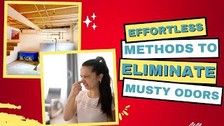 How To Eliminate Musty Smell In Basement EasilyQuick Solutions [upl. by Euqinad]