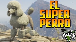 EL SÚPER PERRO  MISTERIOS GTA 5 PS4  EASTER EGG GTA 5 PS4  Localización peyotes 327 [upl. by Asiilanna759]