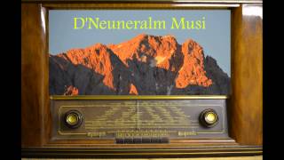 D´Neuneralm Musi Alpbach Marsch  Löffelpolka [upl. by Euqinaj]