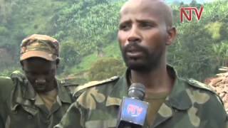 UN fires on Rebel Positions in Congo [upl. by Ciapha652]