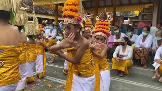 Tari Rejang Dewa Anak [upl. by Aiset427]