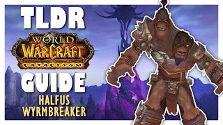 TLDR HALFUS WYRMBREAKER Normal  Heroic Guide  Bastion of Twilight Guide  Cataclysm Classic [upl. by Millford271]