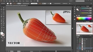 The Mesh Tool  Coloring and Shading  Adobe Illustrator [upl. by Aldwon759]