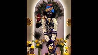 Mohan Mere Payare Nikhil Varma radhe krishna new status RadhaStatus9 [upl. by Yanrahc]