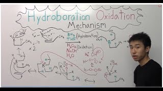 Hydroboration Oxidation Mechanism Made Easy  Part 2   Organic Chemistry [upl. by Eam]