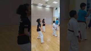 poomsae 7 martialarts kicking poomsae [upl. by Thanos]