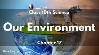 Our Environment  CBSE Class 10 Science Biology  Toppr Study [upl. by Lorry]