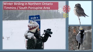 Winter Birding in the Timmins  South Porcupine Area [upl. by Aicercul]