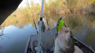 Bass Fishing Tournament on the Apalachicola River on March 11 2023 Solid Day [upl. by Nosmoht]