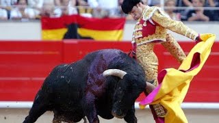 Best Bull Fight technique full bullfighting in Spain very dangerous [upl. by Hut]