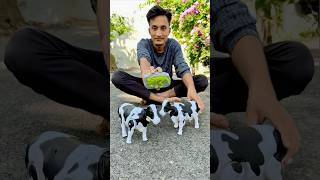 Rc Remote Control Two Cow Unboxing 🐄🔥 [upl. by Choong885]