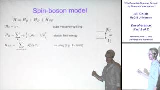 Bill Coish  Decoherence Part 2  CSSQI 2012 [upl. by Kenji417]