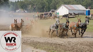 Whiskey Ridge Chuckwagon Race 2024 Teaser [upl. by Orpah]