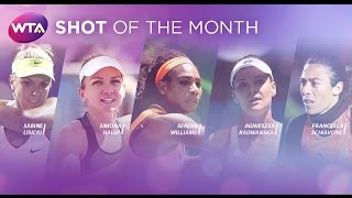 2015 WTA Shot of the Month Finalists  March [upl. by Orsay]