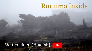 RORAIMA INSIDE  A trip to the oldest and most mysterious Mountain in the world [upl. by Kinny]