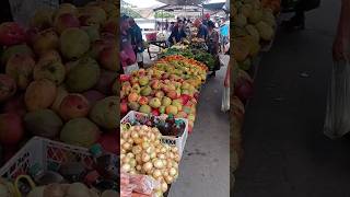 feira de Canapi [upl. by Wanids]