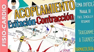 ACOPLAMIENTO EXCITACIÓN CONTRACCIÓN cardíaca Explicación Fácil y FármacosFisiología Cardíaca [upl. by Kulsrud]