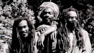 Israel Vibration  Greedy Dog  Live [upl. by Sarge746]