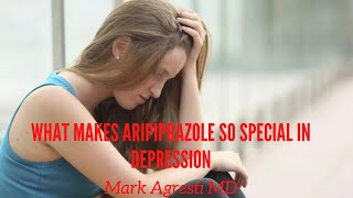 What Makes Aripiprazole So Unique In Depression  Mark Agresti [upl. by Meagher]