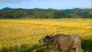 My Hometown Claveria in Cagayan Valley [upl. by Jonme]