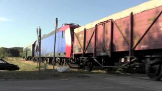 Überführungszug nach Geesthacht mit Metrans 295 082 DEV Emil Cargo 185 ELok und Byg [upl. by Paryavi171]