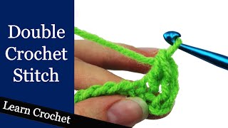 How to Double Crochet Stitch  Beginner Course Lesson 9 [upl. by Wadlinger]