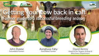 FutureBeef Webinar Getting your cow back in calf [upl. by Shalne]