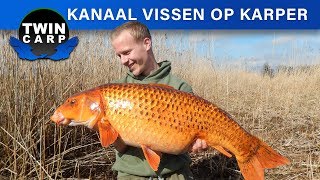 Karpervissen  BIZARRE VANGST  Kanaalvissen in het voorjaar  twincarpNL [upl. by Lecirg]